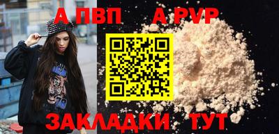spice Новодвинск