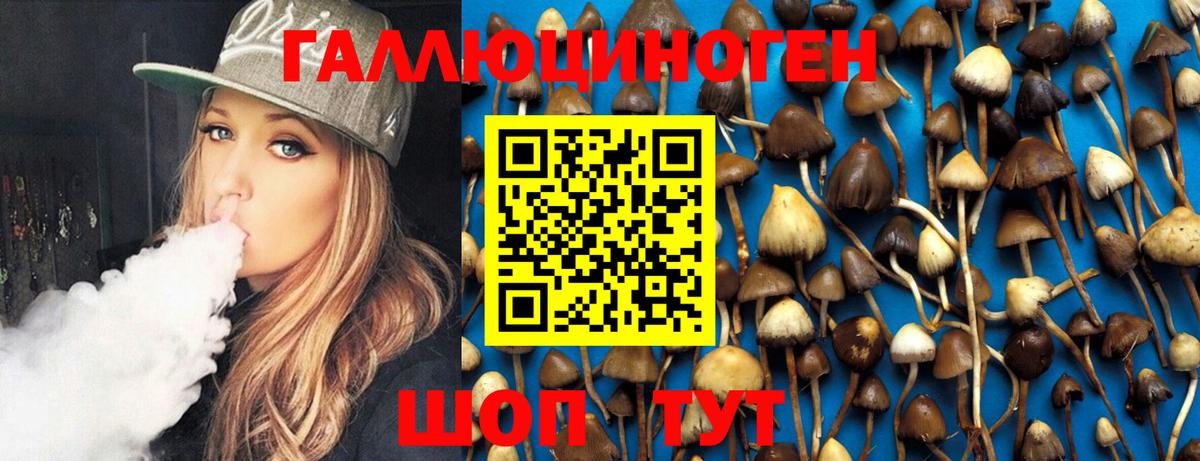 Псилоцибиновые грибы Psilocybe Заринск