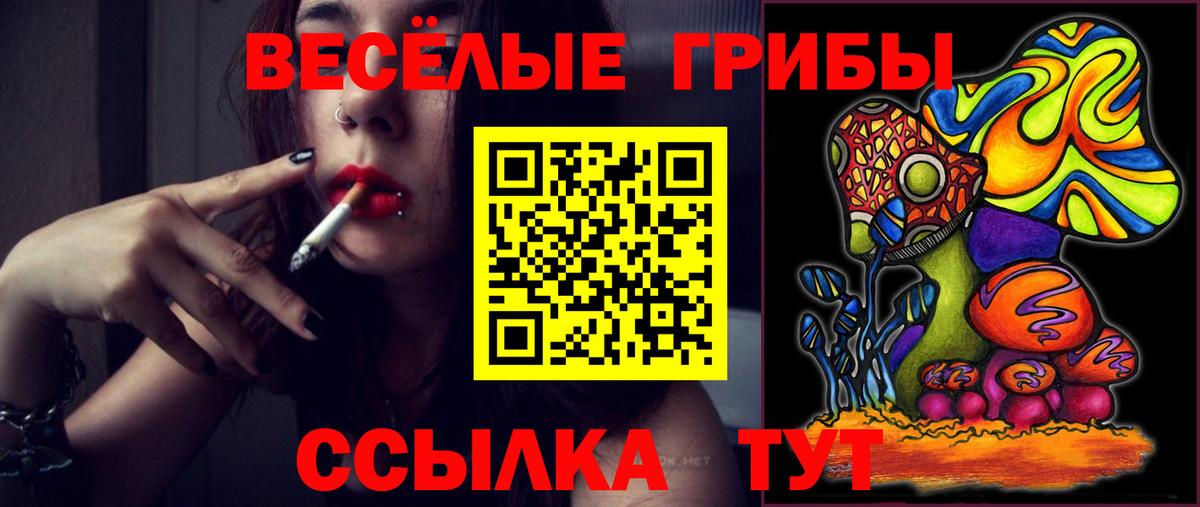 Галлюциногенные грибы Psilocybe  Вход с VPN  Псилоцибиновые грибы GOLDEN TEACHER  Заринск 